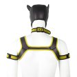 (image for) Dog Hood Bondage Kit