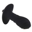 (image for) Magic Anal Vibrator