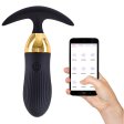 (image for) APP Control Stripe Anal Vibrator