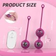(image for) Pearl Rechargeable Ben Wa Balls
