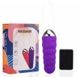 (image for) Spirit Wireless Sex Egg