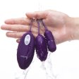 (image for) Lyra Duo Wired Controller Egg Vibrator