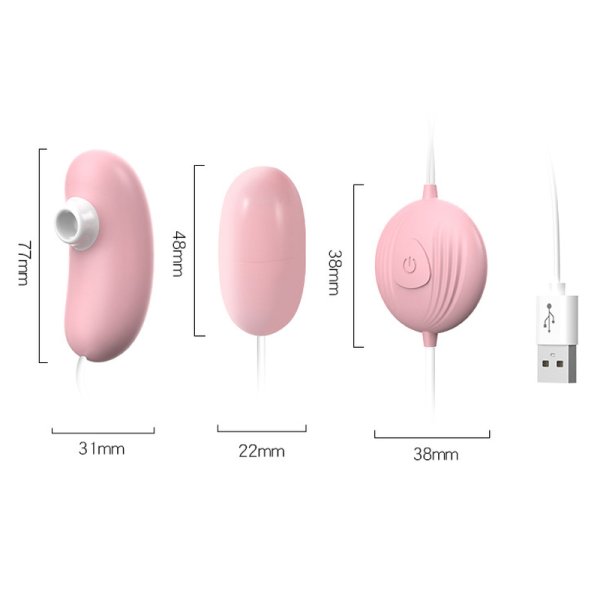 (image for) Sucker & Bullet Dual Vibrator
