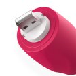 (image for) Spark Of Love Vibrator