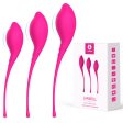 (image for) Lamboll Kegel Vaginal Exerciser Kit