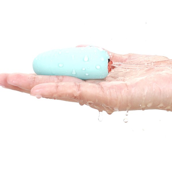 (image for) Shana APP Smart Sex Bullet