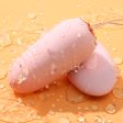 (image for) Shana APP Smart Sex Bullet