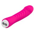 (image for) Female Dildo Vibrator