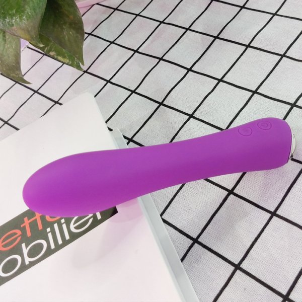 (image for) Nicola Heating Vibrator