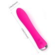 (image for) Nicola Heating Vibrator