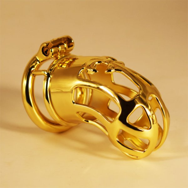 (image for) Hollow Out Chastity Cage With Round Ring