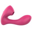 (image for) Suction 2 in 1 Vibe