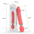(image for) Wand Massager With Dildo Head
