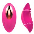 (image for) Wearable Panty With Clitoral Sucking
