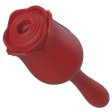 (image for) Double Head Suction Vibe