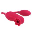 (image for) Double Head Rose Suction Vibrator