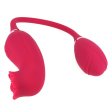 (image for) Double Head Rose Suction Vibrator