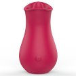 (image for) Tongue Sucking Vibrator