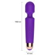 (image for) Pols 20 Frequency Vibrator