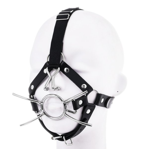 (image for) Spider Gag With Nasal Hook
