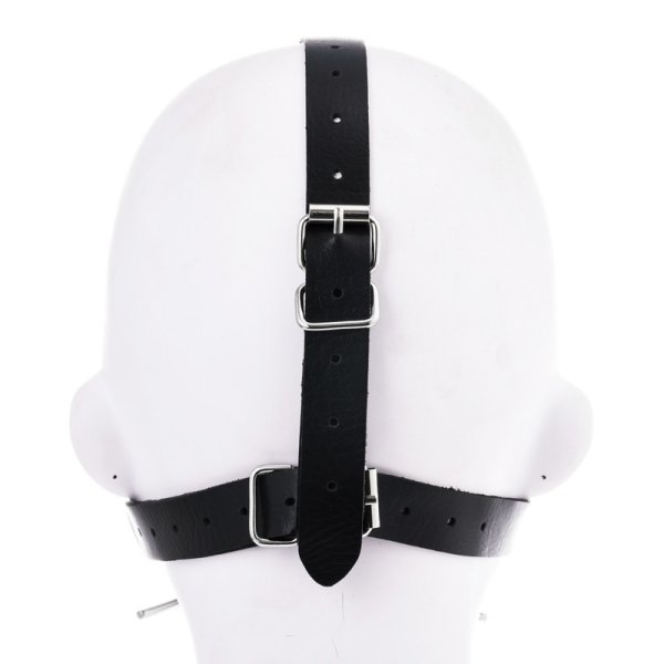 (image for) Spider Gag With Nasal Hook