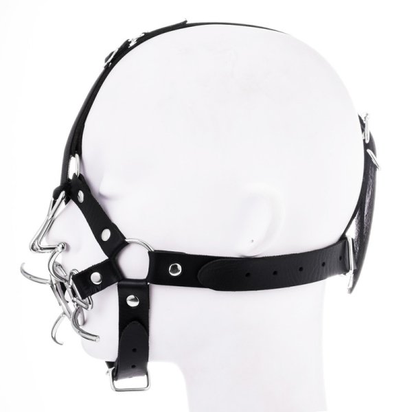 (image for) Spider Gag With Nasal Hook