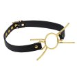(image for) Spider Golden Gag