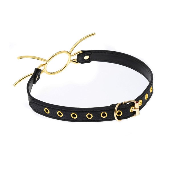 (image for) Spider Golden Gag