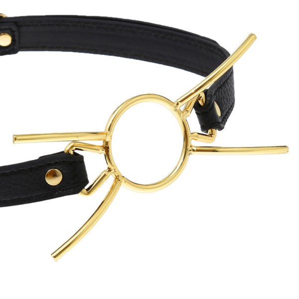 (image for) Spider Golden Gag