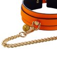 (image for) Noctilucous Bondage Collar