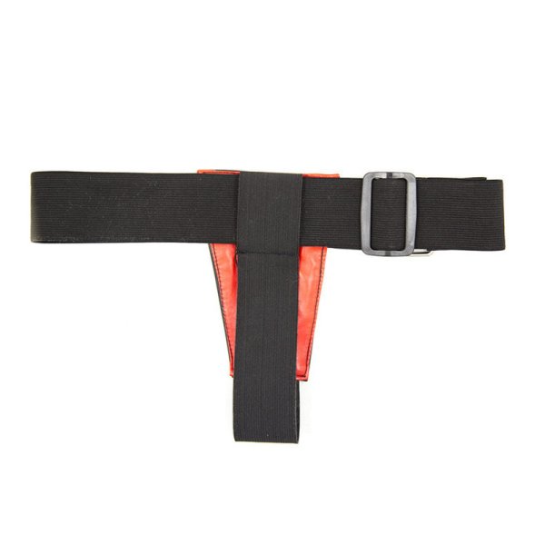 (image for) Strap on Panty