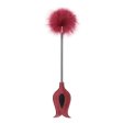 (image for) Tickler With Paddle Teaser