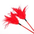 (image for) Spank Paddle With Feather Tickler