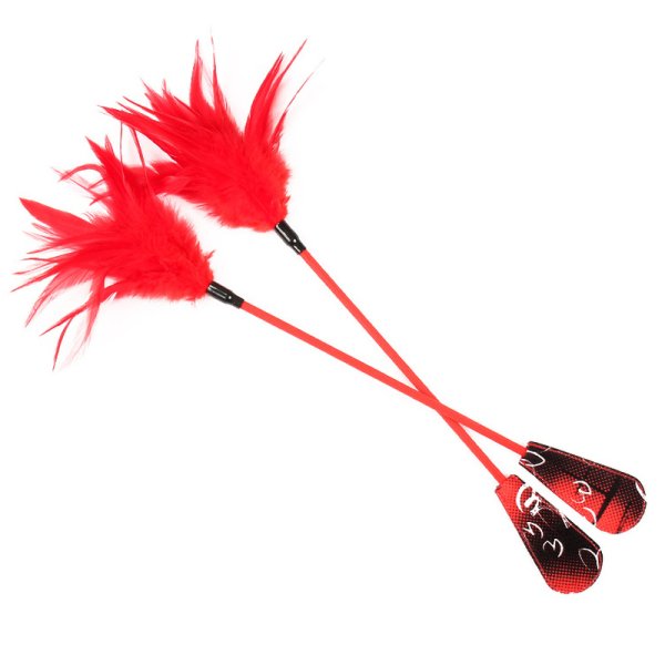 (image for) Spank Paddle With Feather Tickler