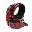 (image for) Bright Leather Bondage Kit - 6 pcs