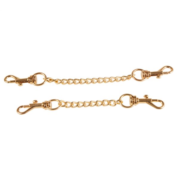 (image for) Exquisite Bow Bondage Kit