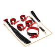 (image for) Black & Red PU Bondage Kit