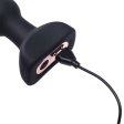 (image for) Thrusting & Wireless Anal Vibrator