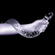 (image for) Jelly Clear Color Long Anal Dildo