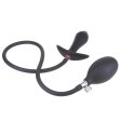 (image for) Inflatable Butt Plug with Detachable Needle- 01