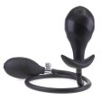 (image for) Inflatable Butt Plug with Detachable Needle- 03
