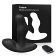 (image for) Caesar Rotation Prostate Vibrator