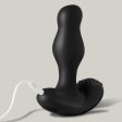 (image for) Caesar Rotation Prostate Vibrator