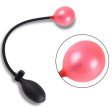 (image for) Red Point Inflatable Plug