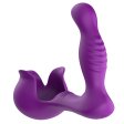(image for) Surround Prostate Vibrator