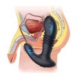 (image for) Thrusting Prostate Stimulation Vibrator