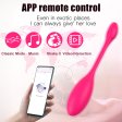 (image for) Mignon APP Smart Sex Bullet