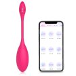(image for) Mignon APP Smart Sex Bullet