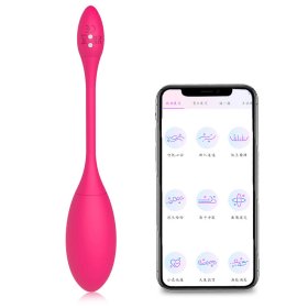(image for) Mignon APP Smart Sex Bullet