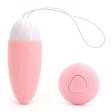 (image for) Iesha Wireless Sex Bullet